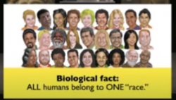 one race; human race Meme Template