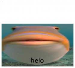 henlo fish Meme Template