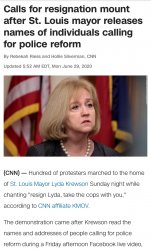 St. Louis Mayor Lyda Krewson 1 Meme Template