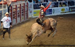 Bull Rider Meme Template