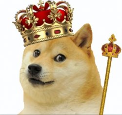 King doge Meme Template