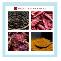 GI TAGGED Indian Spices Meme Template