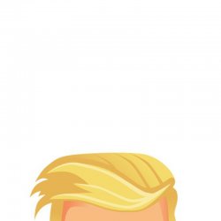 Trump Hair Meme Template