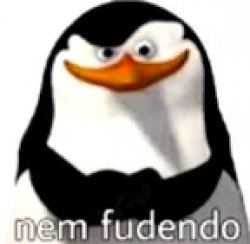 nem fudendo Meme Template
