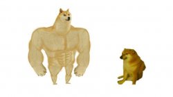 Swole doge and cheems Meme Template
