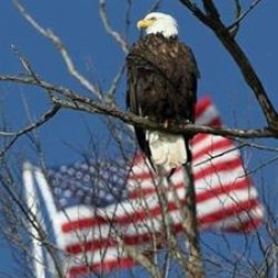 flag Meme Template