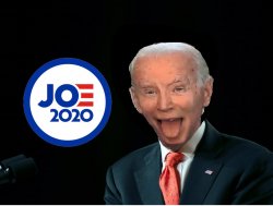 Joe BIden 2020 Meme Template