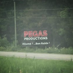 Pegass Meme Template