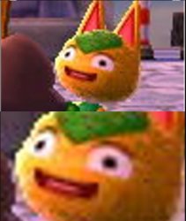 Tangy - WHAT Meme Template