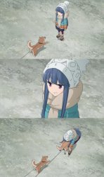 Loli gets tackled by a Shiba Inu Meme Template