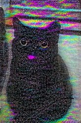Static cat Meme Template