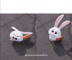 Nice and evil rabbit Meme Template