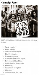 Black lives matter priorities Meme Template