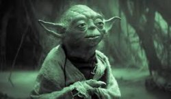 Yoda must not get sick Meme Template