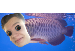 FISH BREAD Meme Template