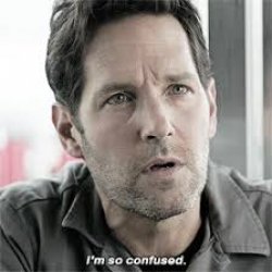 antman i'm so confused Meme Template