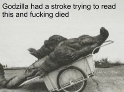 Godzilla stroke Meme Template