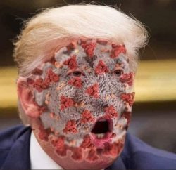Trump's virus Meme Template