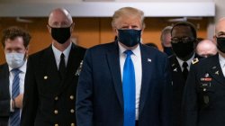 Donald Trump face mask entourage Meme Template