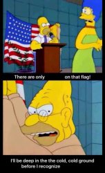 Grandpa Simpson flag Meme Template