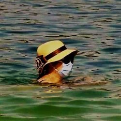 Woman wearing mask in water Meme Template