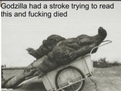 Godzilla had a stroke trying to read this and fucking died Meme Template