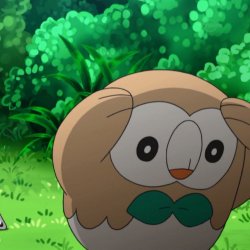 Plotting Rowlet Meme Template