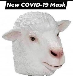New COVID-19 MASK Meme Template