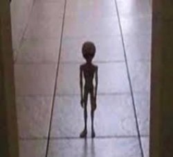 The alien I stole from Area 51 telling me... Meme Template