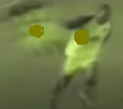 How about NO Meme Template