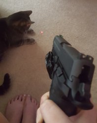 Gun cat Meme Template