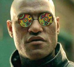 morpheus meme template