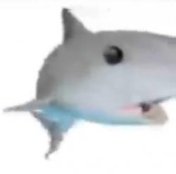 Shark Pog Meme Template