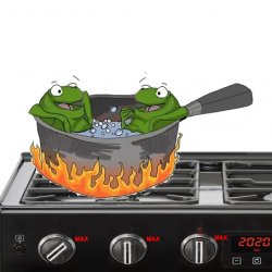boiling frogs Meme Template