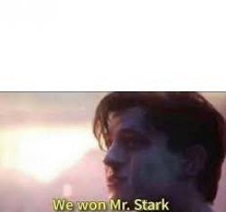we won mr stark Meme Template