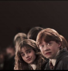 Ron and Hermione Meme Template