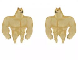 Buff Doge vs Buff Doge Meme Template