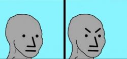 NPC (2 panels) Meme Template