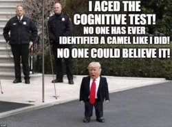 Trump moca ace Meme Template