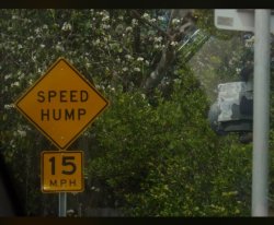 SPEED HUMPING! Meme Template