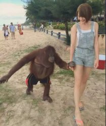 Chimp holding hands with girl Meme Template