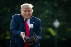 Trump baseball Meme Template