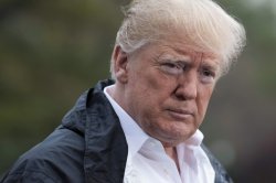 Donald Tramp Meme Template