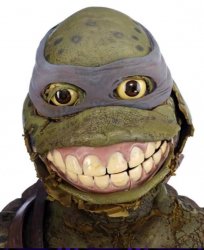 Decayed Ninja Turtle Costume Meme Template