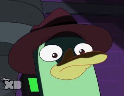 Unsettled Perry the platypus Meme Template