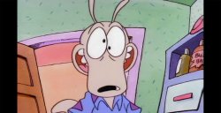 Rocko from Rocko's Modern Life Meme Template