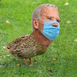 Joe BidenDuck Meme Template