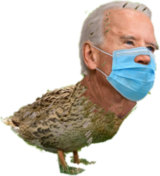 Joe BidenDuck Trans Meme Template