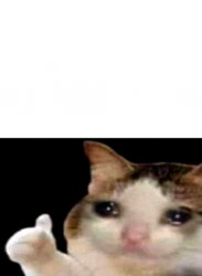Sad cat thumbs up white spacing Meme Template
