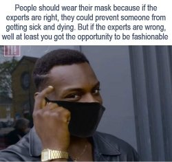 Wearing A Mask Could Save Lives Or Fashion Statement Meme Template